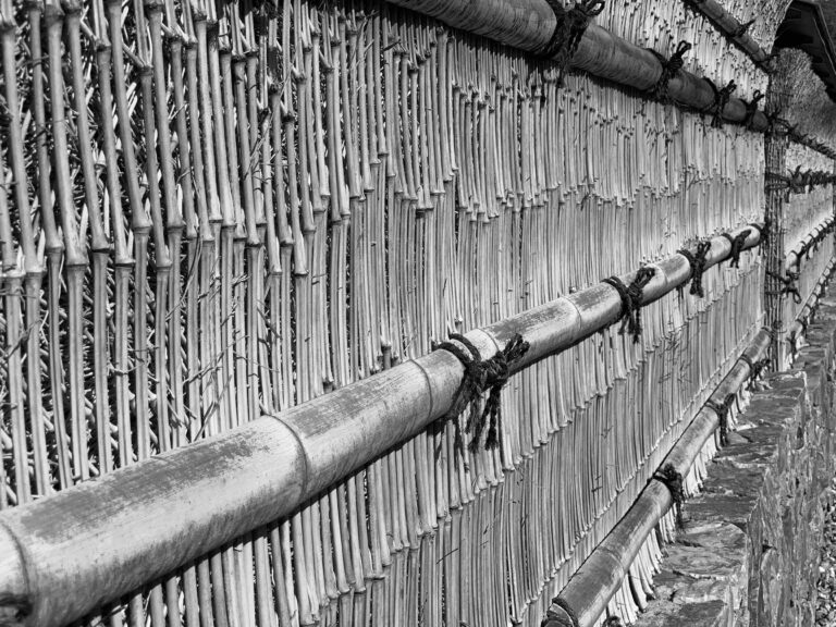 Bamboo Wall_1_JPG low res